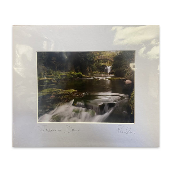 Jesmond Dene Patrick McArdle Print