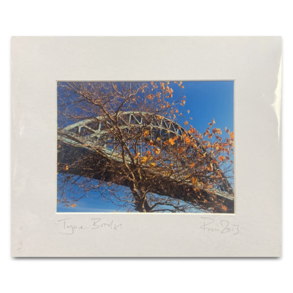 Tyne Bridge Autumnal Tree Leaf Photo Print (Patrick McArdle)