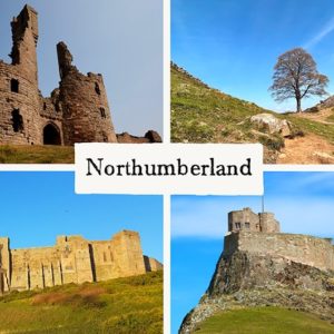 Northumberland Collage Photo Magnet