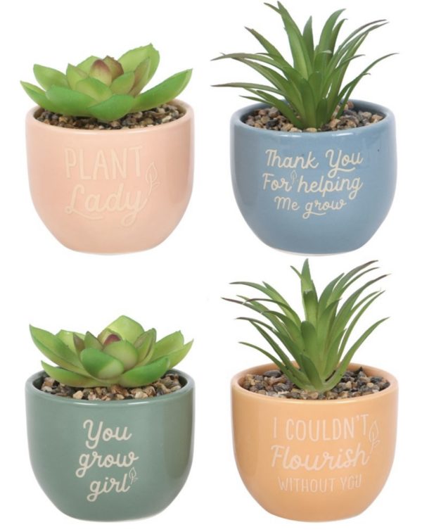 Mini Keepsake Artificial Plants