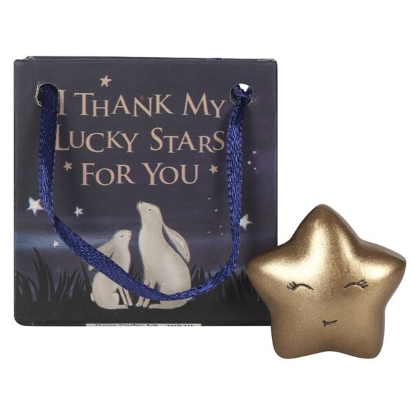 Gold Lucky Star In a Bag