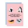 4 out of 5 Cats Birthday Card