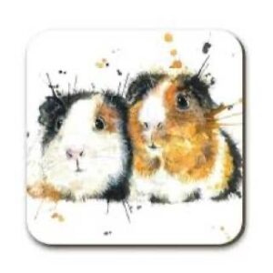 Splatter Guinea Pig Coaster