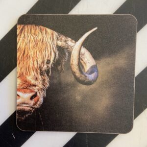 Highland Cow Coaster