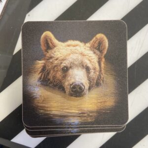 Grizzly Bear Coaster