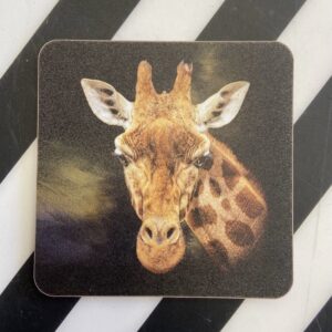 Giraffe Coaster