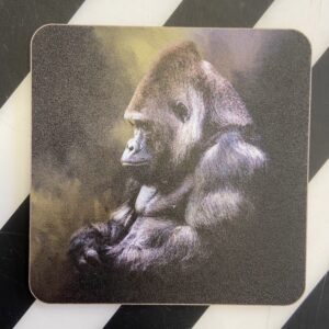 Gorilla Coaster