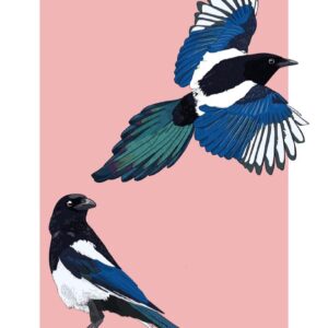 Magpies Card