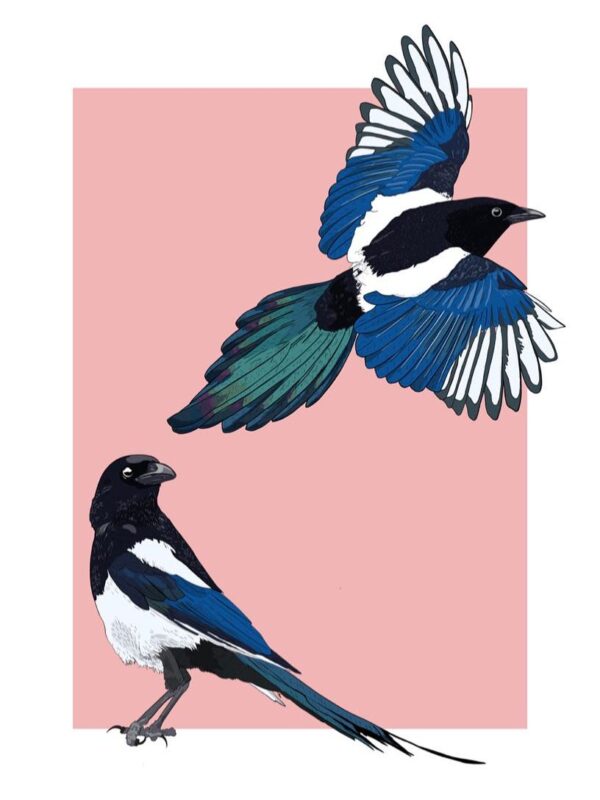 Magpies Card
