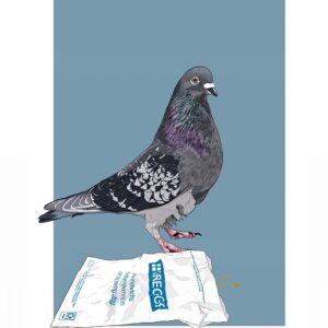 Pasty Pigeon Card
