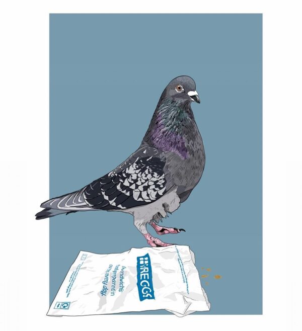 Pasty Pigeon Card
