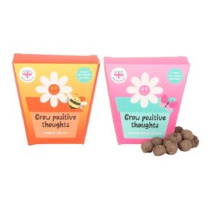 Set of 12 Bee and Butterfly Seed Ball Packs in Display Set of 12 Bee and Butterfly Seed Ball Packs in Display