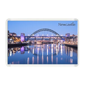 Newcastle River Tyne Bridges Magnet